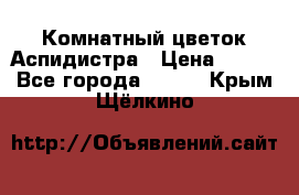 Комнатный цветок Аспидистра › Цена ­ 150 - Все города  »    . Крым,Щёлкино